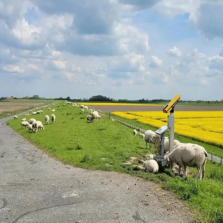 Ferienhaus Ferienunterkunft In Dornumergrode