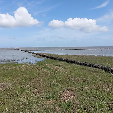Ferienunterkunft In Ferienhaus
