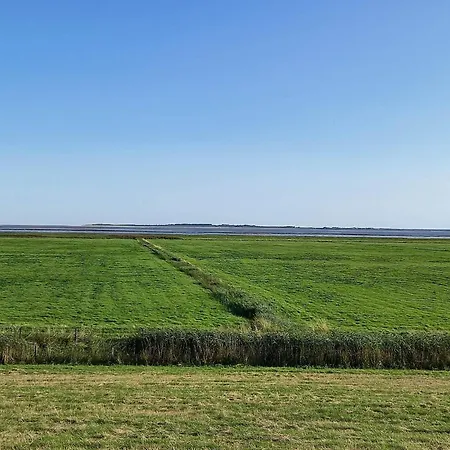 Ferienunterkunft In Ferienhaus