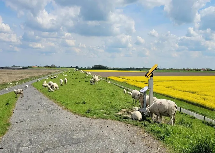 Vakantiehuis Ferienunterkunft In Dornumergrode