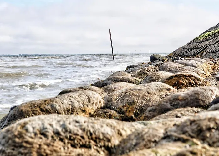 Ferienunterkunft In Vakantiehuis Dornumergrode